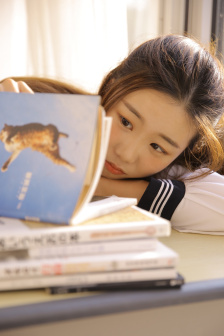 猫咪社区